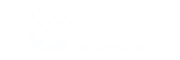 Bar Ilan Universiry